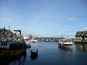 P1000554- Megavissey